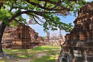 Ayutthayas skjulte perler med bil og lokal guide (lille gruppe)