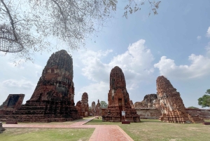 Ayutthayas skjulte perler med bil og lokal guide (lille gruppe)