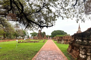 Ayutthayas skjulte perler med bil og lokal guide (lille gruppe)