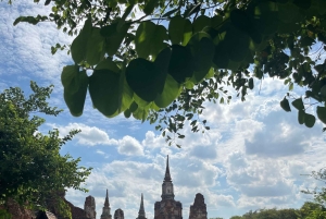 Ayutthayas skjulte perler med bil og lokal guide (lille gruppe)