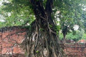 Ayutthayas skjulte perler med bil og lokal guide (lille gruppe)