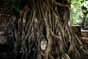 Ayutthaya: Sunset Bike Tour and Scenic Boat Ride