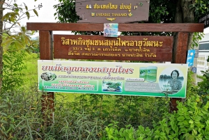 Ayutthaya Temples & Eco-Farm Private Tour from Bangkok