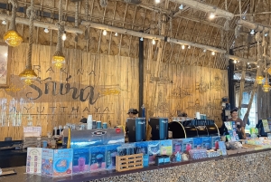 Ayutthaya: UNESCO erfgoed tempels en café dagtour