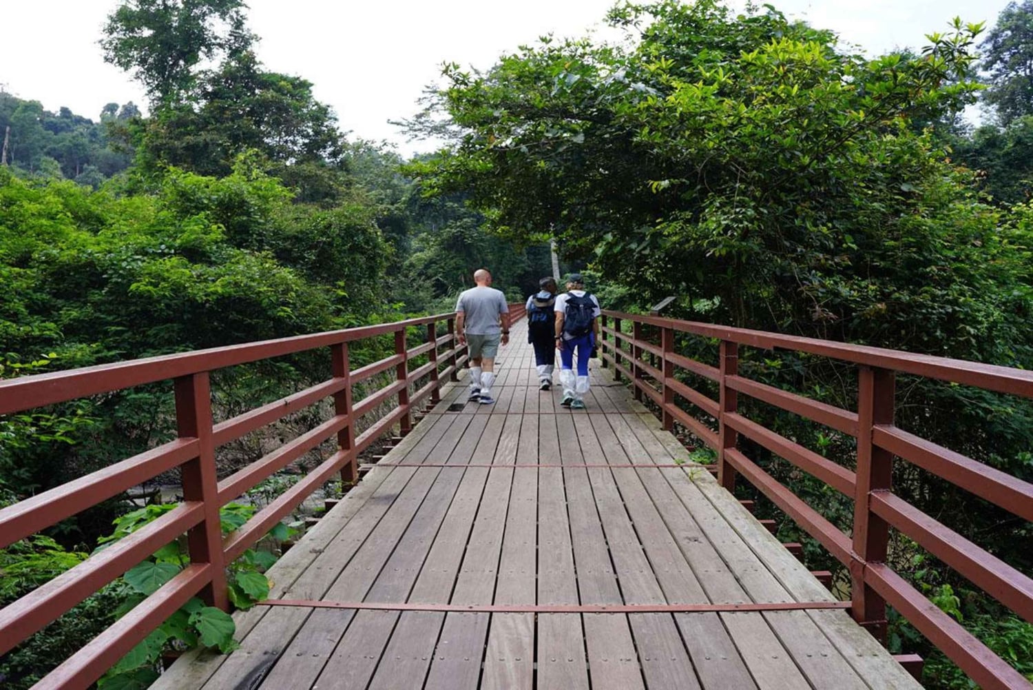 Retour à la nature Trekking et randonnée dans le parc national de Khao Yai