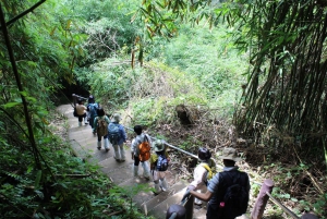 Tilbage til naturen Trekking og vandring i Khao Yai National Park