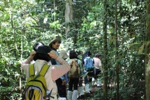 Tillbaka till naturen Trekking och vandring i Khao Yai nationalpark