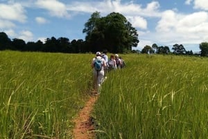 De volta à natureza Trekking e caminhada no Parque Nacional Khao Yai