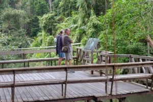 Terug naar Natuur Trektochten en trektochten in Khao Yai Nationaal Park