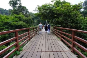 De volta à natureza Trekking e caminhada no Parque Nacional Khao Yai