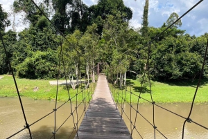 De volta à natureza Trekking e caminhada no Parque Nacional Khao Yai