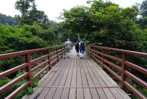 Retour à la nature Trekking et randonnée dans le parc national de Khao Yai