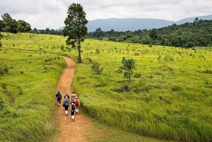Retour à la nature Trekking et randonnée dans le parc national de Khao Yai