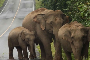 Retour à la nature Trekking et randonnée dans le parc national de Khao Yai