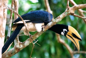 Retour à la nature Trekking et randonnée dans le parc national de Khao Yai