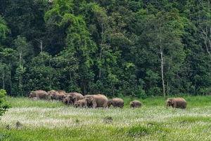 Retour à la nature Trekking et randonnée dans le parc national de Khao Yai