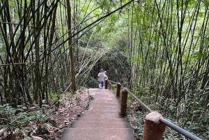 Retour à la nature Trekking et randonnée dans le parc national de Khao Yai