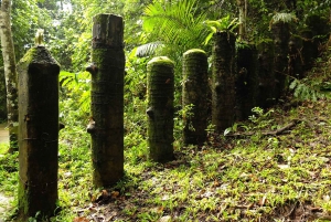 Retour à la nature Trekking et randonnée dans le parc national de Khao Yai