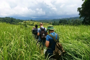 Retour à la nature Trekking et randonnée dans le parc national de Khao Yai