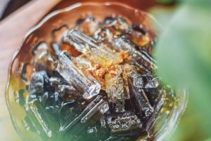 Bangkok: Passe de 1 dia pelo rio Chao Phraya com barco fluvial