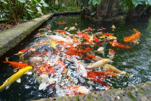 Bangkok: päivän kohokohdat yksityisellä ajoneuvolla ja oppaalla