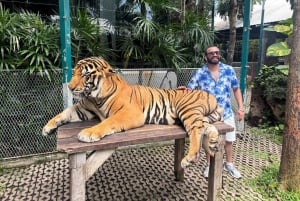 Bangkok Airport Transfer