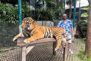 Трансфер из аэропорта Бангкока