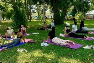 Bangkok: Ochtendyoga voor alle niveaus in Lumphini Park