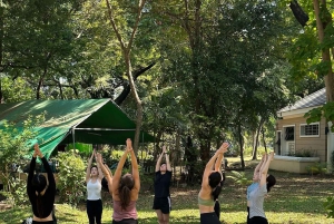 Bangkok: Ochtendyoga voor alle niveaus in Lumphini Park