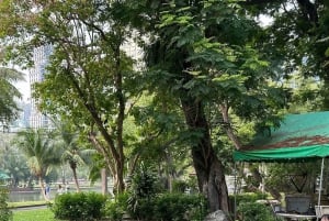 Bangkok: Ochtendyoga voor alle niveaus in Lumphini Park