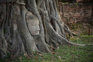 Bangkok: Ayutthayan kulttuuriperintö – päiväkierros junalla ja bussilla