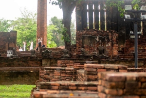 Bangkok: Ayutthayan kulttuuriperintö – päiväkierros junalla ja bussilla