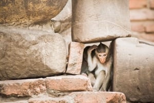 Bangkok: Ayutthaya & Lopburi Monkey Temple Private Day Trip