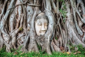 Bangkok: Ayutthaya & Lopburi Monkey Temple Private Day Trip