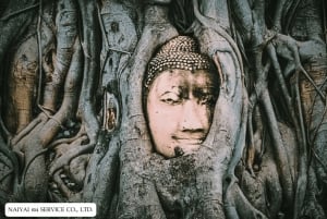 Bangkok: Ayutthaya Private Day Trip