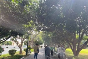 Bangkok: tour en autobús por los templos de Ayutthaya y el Palacio Real