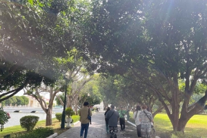 Bangkok: Ayutthaya-templer og busstur til det kongelige palasset