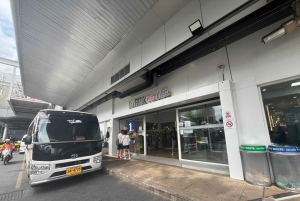 Bangkok: Ayutthaya-templer og busstur til det kongelige palasset