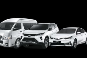 Bangkokissa: Ayutthaya VIP-päiväretki veneajelulla ja oppaalla.