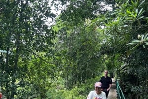 Bangkokissa: Bang Kachao Green Lung Pyöräretki