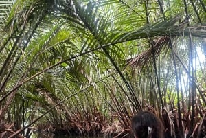 Bangkok: tour in bicicletta nel polmone verde di Bang Kachao