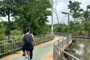 Bangkok: tour in bicicletta nel polmone verde di Bang Kachao