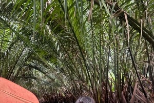 Bangkok: tour in bicicletta nel polmone verde di Bang Kachao