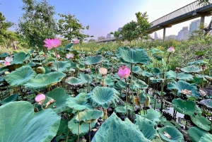 Bangkok Sykkelutleie Benjakitti Park