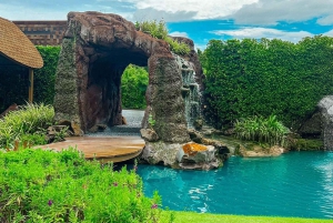 Banguecoque: Pacotes de comida do Bubble in the Forest Cafe