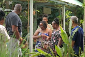 BANGKOK : Visite des canaux et cours de cuisine