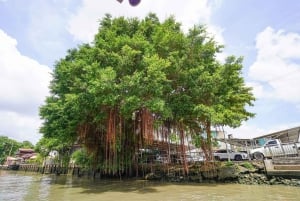 Bangkok: wycieczka po wiosce nad kanałem łodzią EV i lunch
