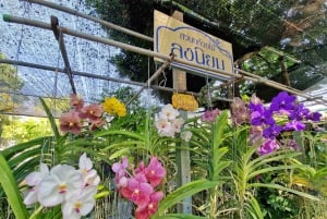 Bangkok Canals Hop-On Hop-Off Boat Tour