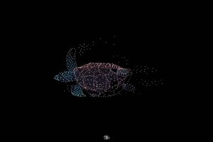 Bangkok: Chao Phraya-elven The Luxury White gratis øl og vin