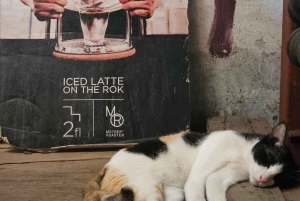 Bangkok: Chinatown Tour with Street Art, Sky Bar & Food